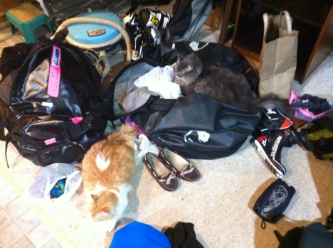 The house we were in had two friendly cats who found my bags extremely comfortable!